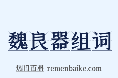 魏良器组词是什么意思的图片